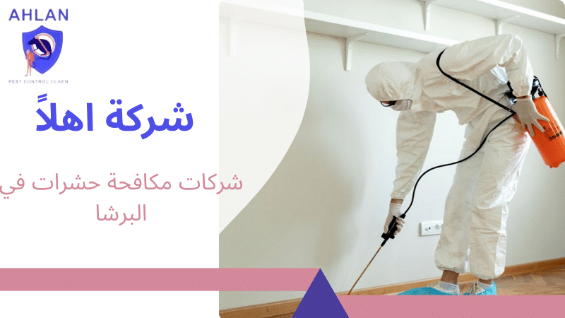 شركات مكافحة حشرات في البرشا