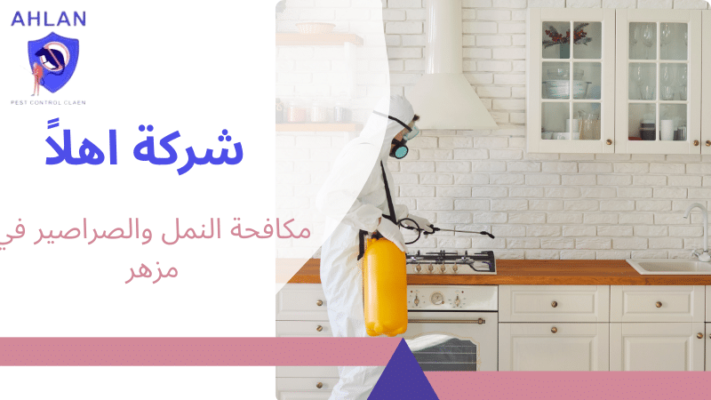 مكافحة النمل والصراصير في مزهر