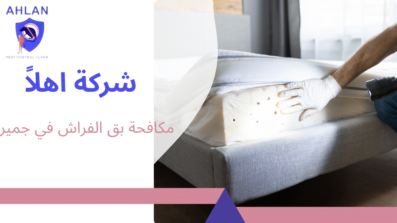مكافحة بق الفراش في جميرا