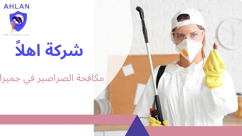 مكافحة الصراصير في جميرا