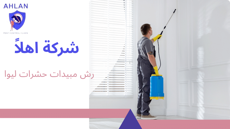 رش مبيدات حشرات ليوا