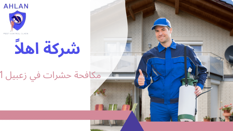 مكافحة حشرات في زعبيل 1