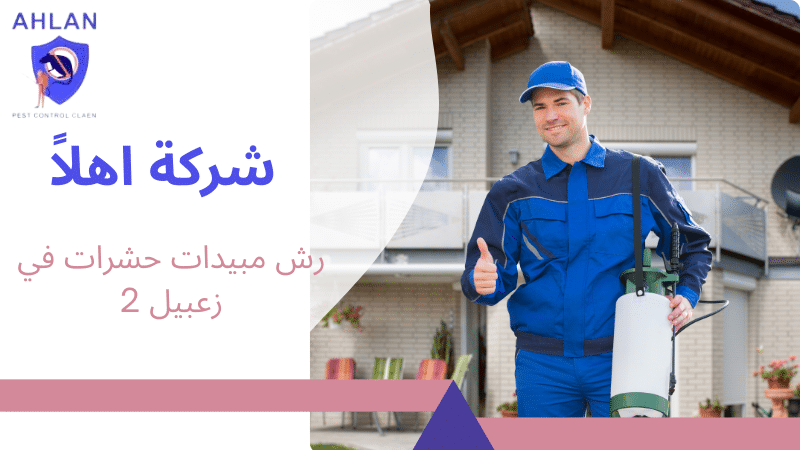 رش مبيدات حشرات في زعبيل 2