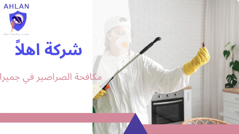مكافحة الصراصير في جميرا