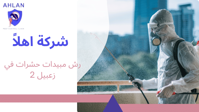 رش مبيدات حشرات في زعبيل 2