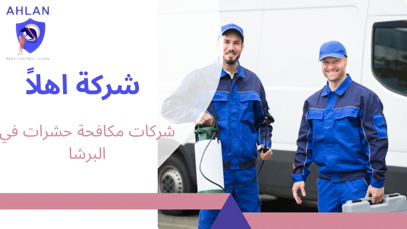شركات مكافحة حشرات في البرشا