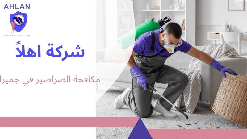 مكافحة الصراصير في جميرا