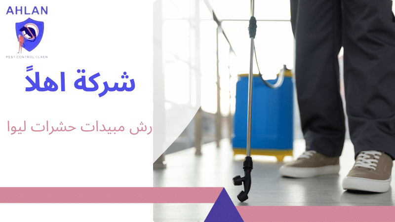 رش مبيدات حشرات ليوا