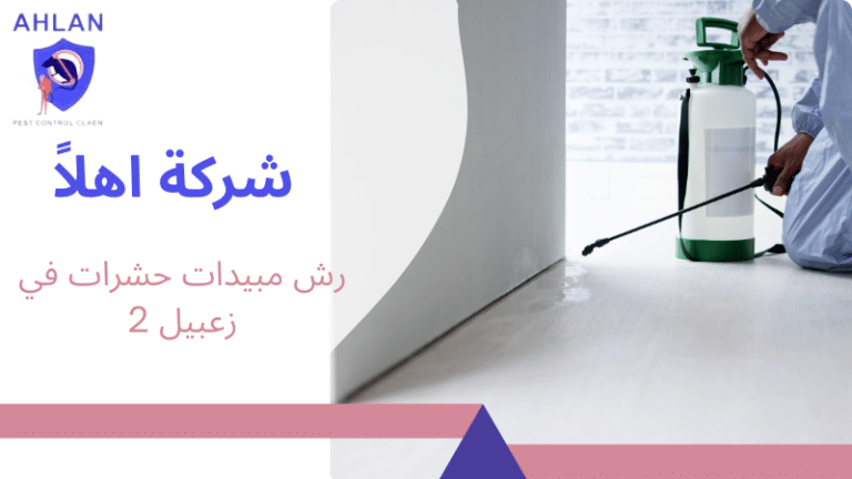 رش مبيدات حشرات في زعبيل 2