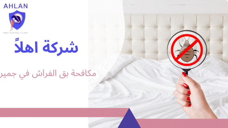 مكافحة بق الفراش في جميرا