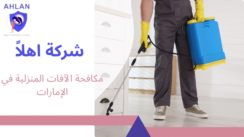 مكافحة الآفات المنزلية في الإمارات