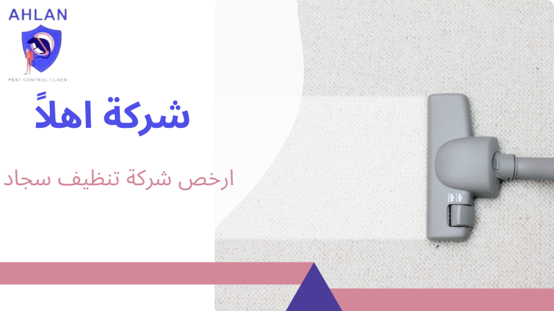 ارخص شركة تنظيف سجاد