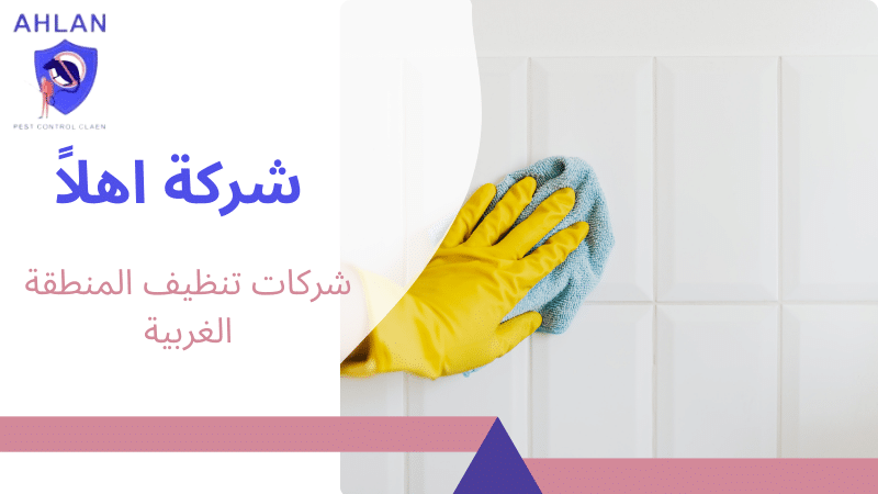 شركات تنظيف المنطقة الغربية
