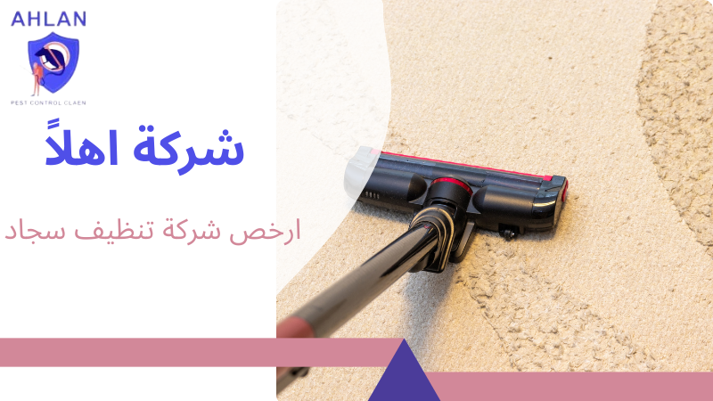 ارخص شركة تنظيف سجاد