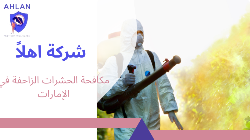 مكافحة الحشرات الزاحفة في الإمارات