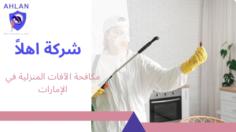 مكافحة الآفات المنزلية في الإمارات
