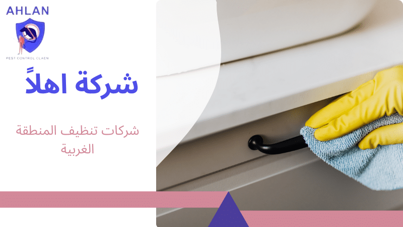 شركات تنظيف المنطقة الغربية
