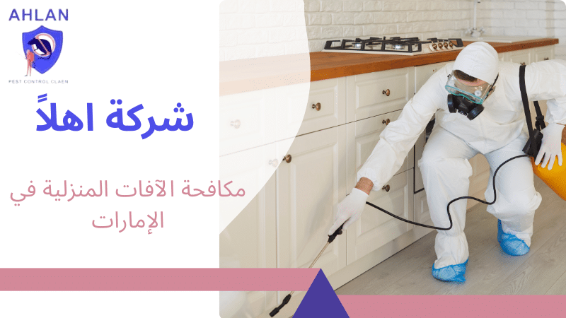 مكافحة الآفات المنزلية في الإمارات