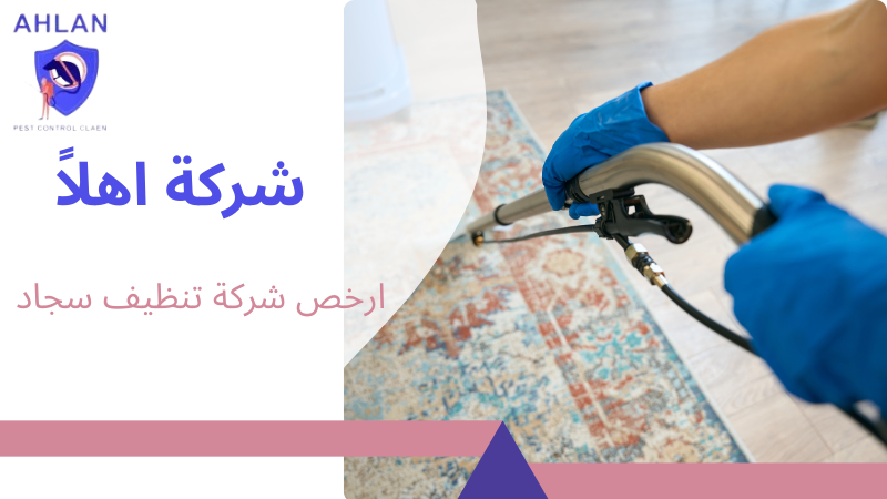 ارخص شركة تنظيف سجاد