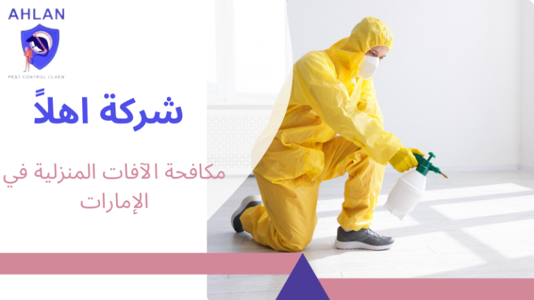 مكافحة الآفات المنزلية في الإمارات