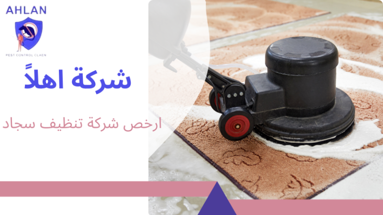 ارخص شركة تنظيف سجاد