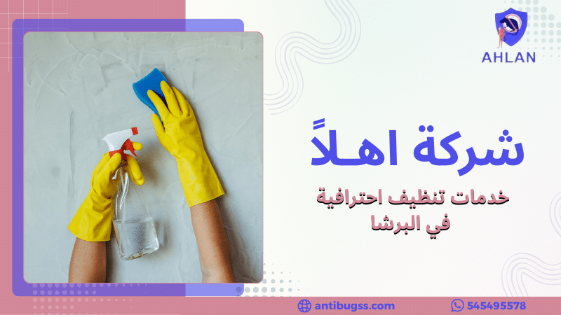 خدمات تنظيف احترافية في البرشا