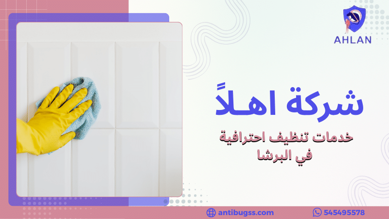 خدمات تنظيف احترافية في البرشا