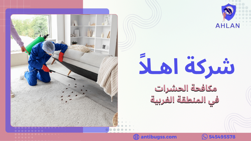 مكافحة الحشرات في المنطقة الغربية