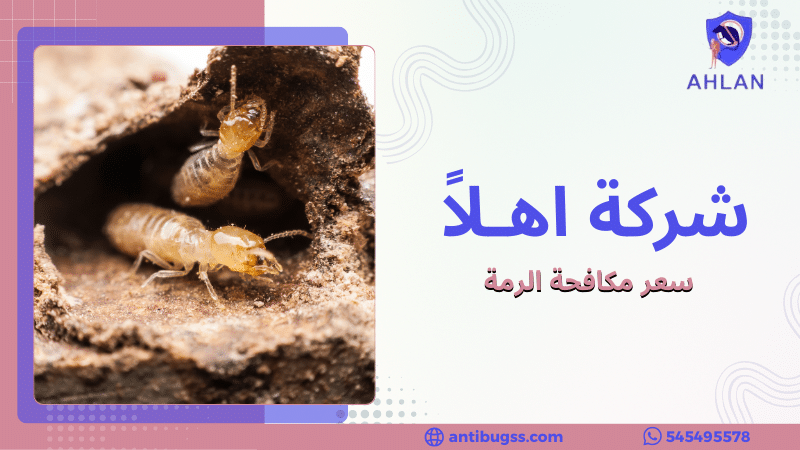 سعر مكافحة الرمة