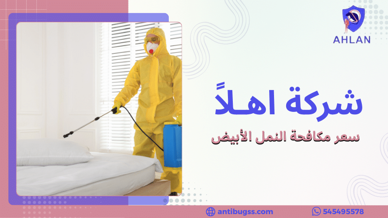 سعر مكافحة النمل الأبيض