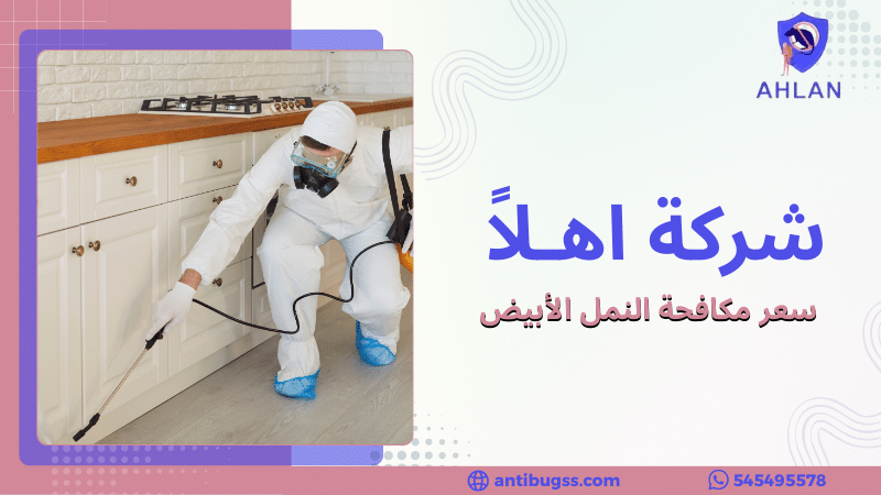 سعر مكافحة النمل الأبيض