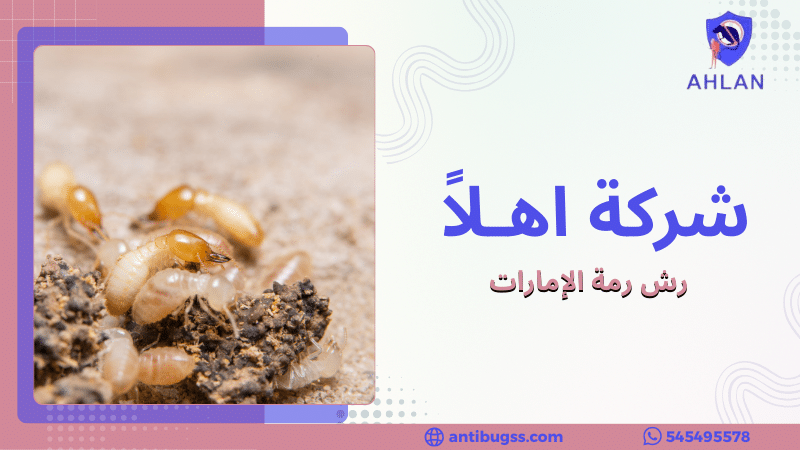 رش رمة الإمارات