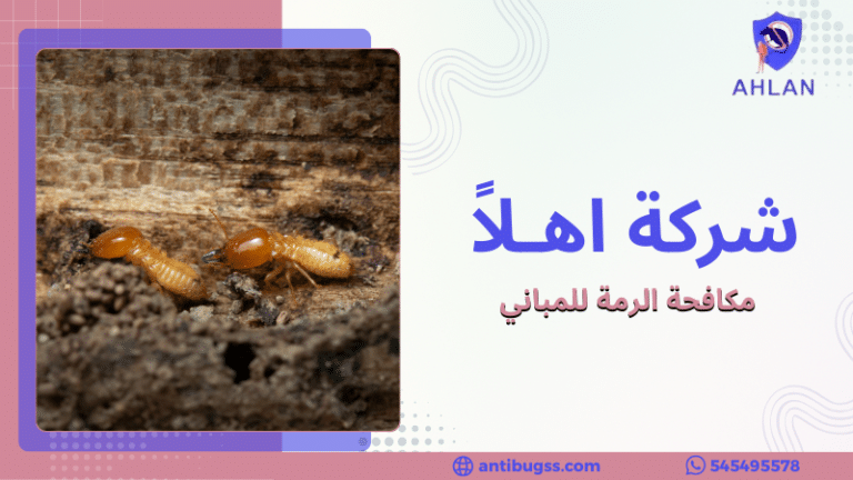 مكافحة الرمة للمباني