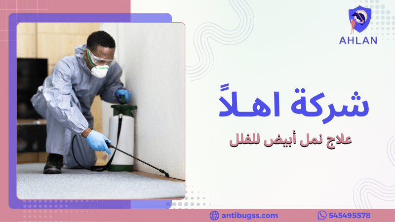 علاج نمل أبيض للفلل