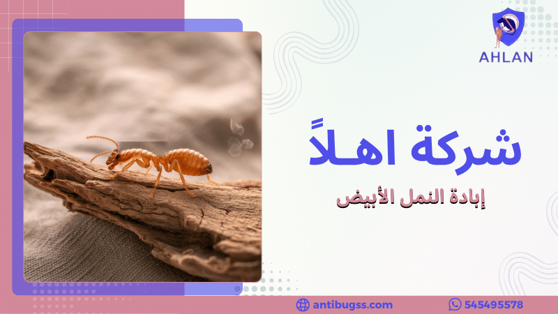 إبادة النمل الأبيض