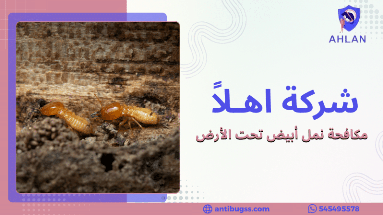 مكافحة نمل أبيض تحت الأرض