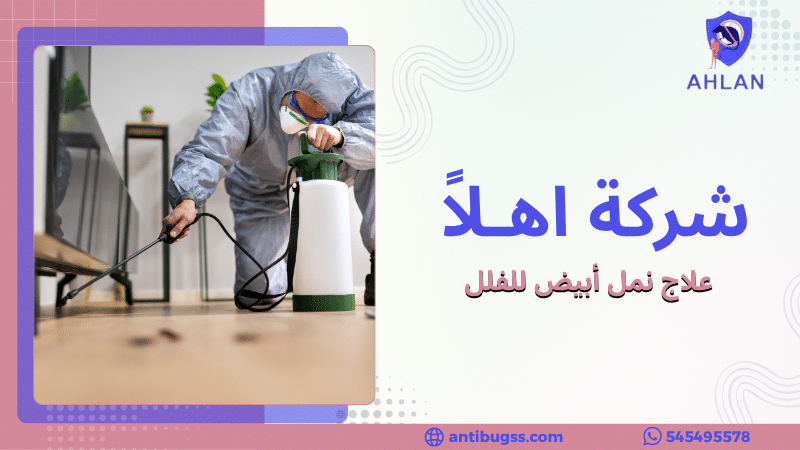 علاج نمل أبيض للفلل