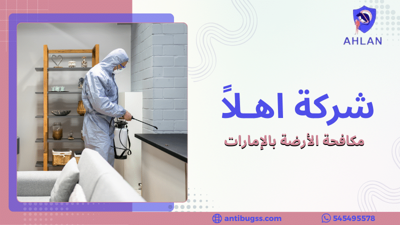 مكافحة الأرضة بالإمارات