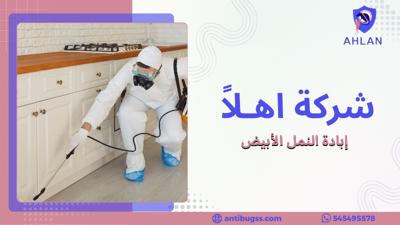 إبادة النمل الأبيض