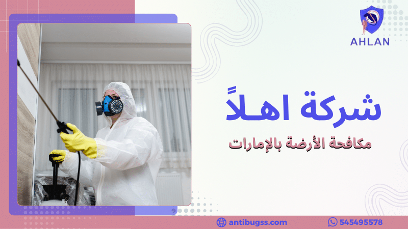 مكافحة الأرضة بالإمارات