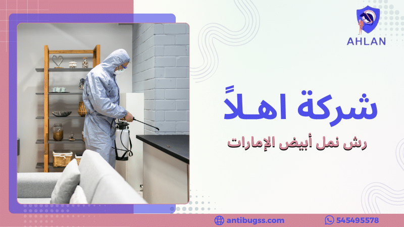 رش نمل أبيض الإمارات