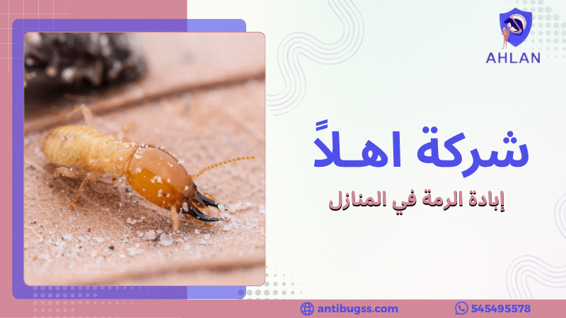 إبادة الرمة في المنازل