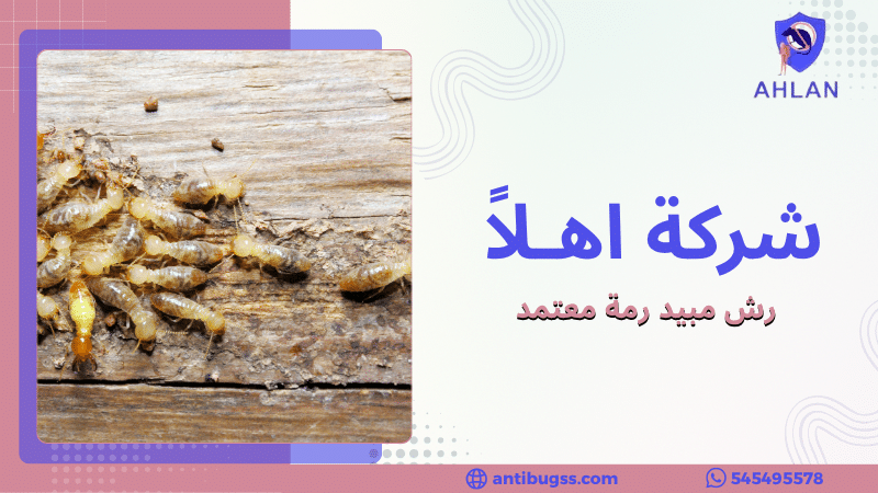 رش مبيد رمة معتمد