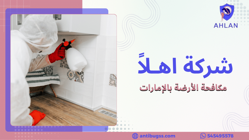 مكافحة الأرضة بالإمارات