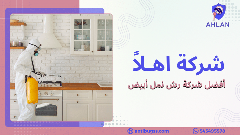 أفضل شركة رش نمل أبيض