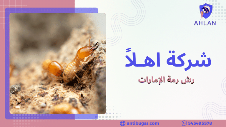 رش رمة الإمارات