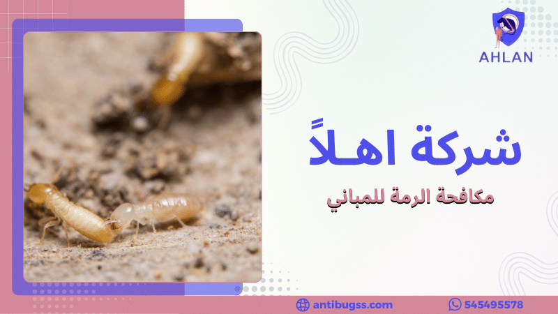 مكافحة الرمة للمباني