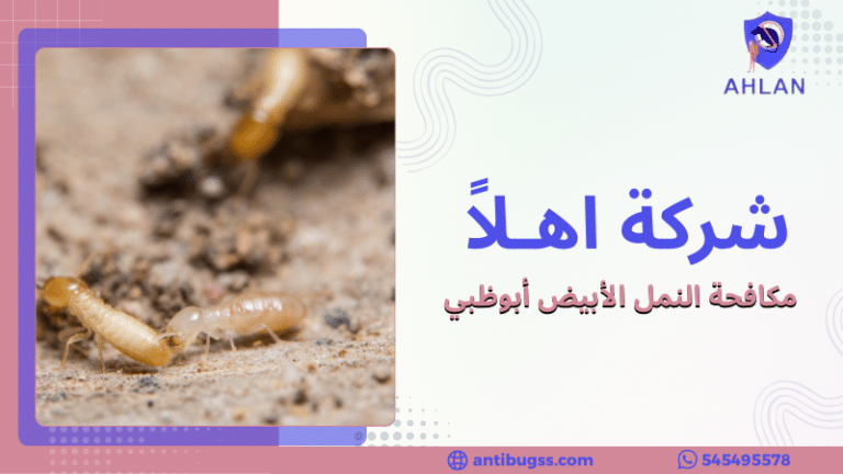 مكافحة النمل الأبيض أبوظبي