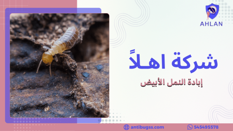 إبادة النمل الأبيض