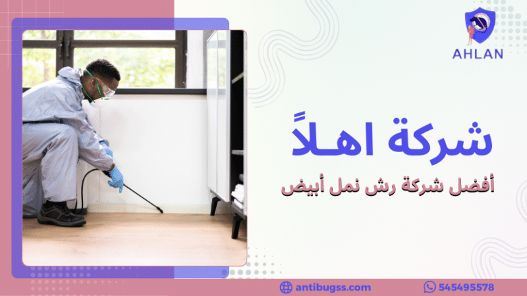 أفضل شركة رش نمل أبيض